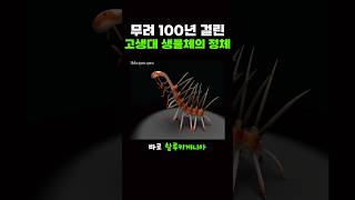 무려 100년이나 걸린 고대 생명체의 정체 ㄷㄷ [upl. by Joshua592]