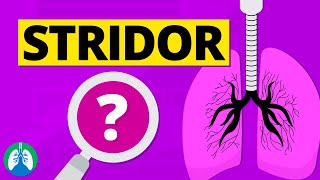 Stridor Abnormal Lung Sounds  Causes and Treatment [upl. by Philipp894]