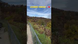 Beautiful Gatlinburg Tennessee share youtubechannel [upl. by Yadnil772]