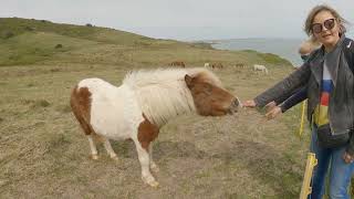 Beachy Head Eastbourne [upl. by Nicolle316]