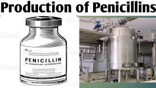 Production of Penicillin Biotechnology Unit 5  B Pharm 6 Sem productionofpenicillins [upl. by Nywroc]