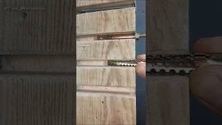 Anchor bolts operating principle Demonstration of installation shorts construction tips tools [upl. by Alaikim]