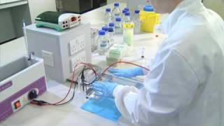 Running an Agarose Gel  University of Leicester [upl. by Festa]