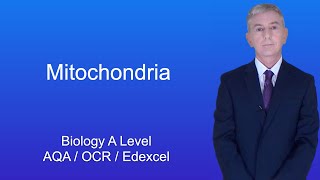 A Level Biology Revision quotMitochondriaquot [upl. by Okier]