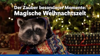 Der Zauber besonderer Momente  Magische Weihnachtszeit  Lidl lohnt sich [upl. by Enyedy]