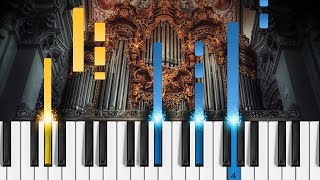 Bach  Toccata and Fugue in D Minor  ORGAN Tutorial [upl. by Eseila]