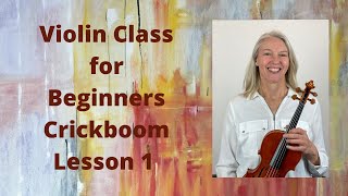 Violin Class for Beginners Crickboom Lesson 1 [upl. by Allemrac]