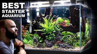 The Budget Aquarium Setup You Cannot Miss [upl. by Nirehs360]