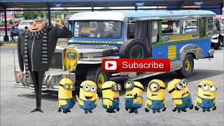 MINION IN THE PHILIPPINES RIDING A JEEPNEY AND SINGING MANILA [upl. by Eednas636]