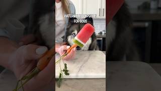 The Perfect Watermelon Dog Treat [upl. by Weaver724]