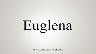 How To Say Euglena [upl. by Lleze132]