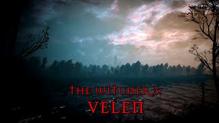 The Witcher 3 Wild Hunt Velen Tribute HD [upl. by Flor638]