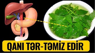 Bədəni İLTİHABDAN 1 Həftəyə Təmizləyir [upl. by Otreblaug]