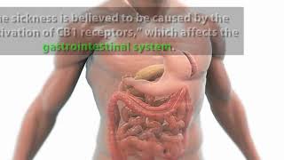 What You Need to Know Cannabinoid Hyperemesis Syndrome [upl. by Sehguh]