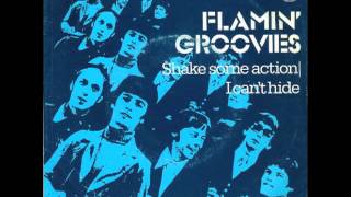 Flamin Groovies  I Cant Hide [upl. by Aissirac]