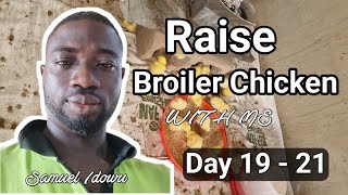 Day 1921 How to Raise Broiler Chicken at home [upl. by Geesey860]