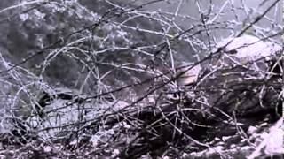 The Battle of San Pietro John Huston WW2 Documentary 1945 Movie [upl. by Refinaj]