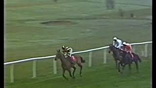 1986 Tingle Creek Chase Berlin [upl. by Hairim731]