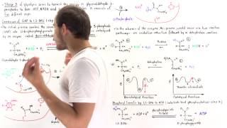 Stage 3 of Glycolysis Steps 6 7 [upl. by Anitnelav]