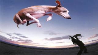 Paul Gilbert  Flying Dog Full Album [upl. by Nuawd]