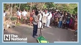 Kerala’s snake catcher on road to recovery after cobra bite [upl. by Maggy]