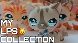 LPS Моя LPS коллекция 🐱Персидские кошки стоячие кошки котята и другие [upl. by Carolyn]