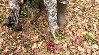 Best Blood Tracking Deer Recovery Tip [upl. by Teeniv]