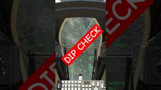 DIP CHECK  A10 DCS dcs [upl. by Toor846]