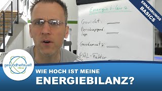 Die Energiebilanz  Grundumsatz Leistungsumsatz PAL Faktor [upl. by Gelasius]