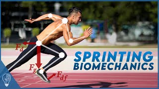 How sprinters use biomechanics to push the limits of the human body [upl. by Rehctelf232]