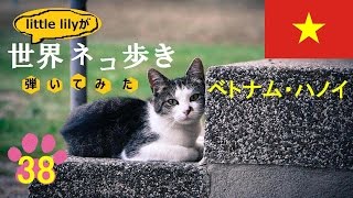 【ネコ歩き弾いてみた㊳】ハノイの月  髙野正樹【Music w cat】 [upl. by Lardner]