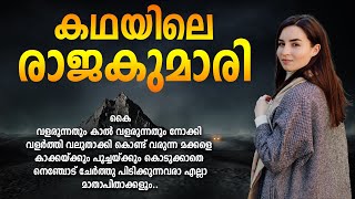 കഥയിലെ രാജകുമാരി SHAHUL MALAYIL MALAYALAM STORY [upl. by Trinatte203]