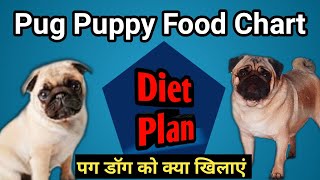 pug puppy diet chart plan पग डॉग को खाने में क्या दे pug puppy ko kya khilaye [upl. by Sausa56]