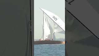 Complete tack maneuver of dhow lateen rigged boat sailing technique Dalma race [upl. by Tnecnev244]