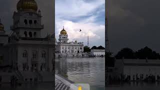 Ek Omkar Satnam vahe Guru 🙏trendingshorts ekomkar vaheguru gurunanakdevji gurbani [upl. by Arabela]