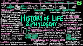 History of Life amp Phylogeny  Evolution amp Phylogeny 02  Biology  PP Notes  Campbell 8E Ch 2526 [upl. by Anaid]