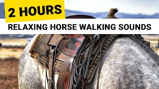 Relaxing Horses Hooves Sounds 2 Hours 🎧 clip clop walk amp nature no neighing for sleep relaxation [upl. by Averill879]