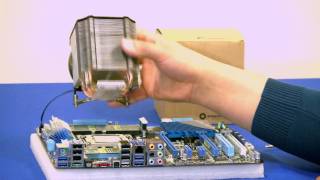 Dynatron R17 CPU Cooler Handson Review [upl. by Samoht]