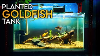 Aquascape Tutorial PLANTED GOLDFISH Aquarium How To Step By Step Guide [upl. by Elicia65]