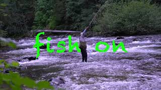 TENKARA vs Fly fishing  Deschutes and Salmon river in Oregon ASMR 渓流テンカラ vs フライ、 플라이 낚시 미국 오레곤주 [upl. by Torrence]