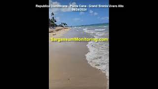 2024 Sargassum Monitoring® Official  Republica Dominicana  Punta Cana [upl. by Aneerahs]