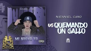 05 Natanael Cano  Quemando Un Gallo Official Audio [upl. by Avon]