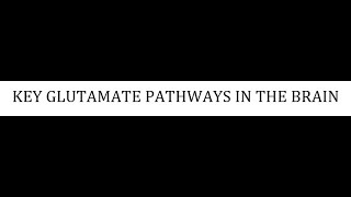 STAHLS  CH 4  PART 18  KEY GLUTAMATE PATHWAYS IN THE BRAIN psychiatrypharmacology [upl. by Kcirej999]