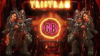 Diablo 2 Tristram Remix [upl. by Lerraf]