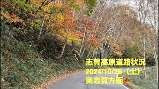 【最新】志賀高原道路状況（奥志賀方面）20241026（土） [upl. by Harty]