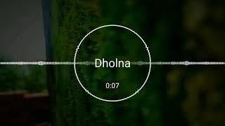 Rangilo maro dholna remix dj song [upl. by Anilahs]