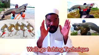 Wallago attu fishing Technique  Wallago macli Pakadna ka Tarika  Best Fishing Technique [upl. by Sanez324]