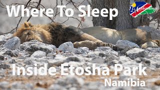 The only 6 Places to stay inside Etosha National Park Namibia [upl. by Ardek969]