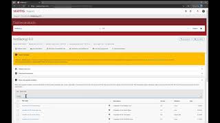 SelfService VM provisioning and Disaster Recovery with NetBackup Instant Access for VMware [upl. by Odama]