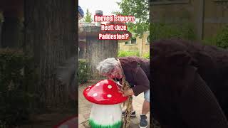 Hoeveel stippen denk jij 🍄duinrell pretpark [upl. by Little705]